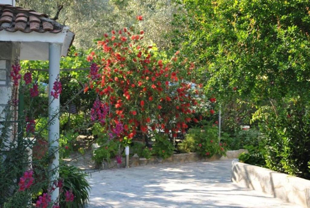Stelios Studios Megali Ammos  Exterior photo
