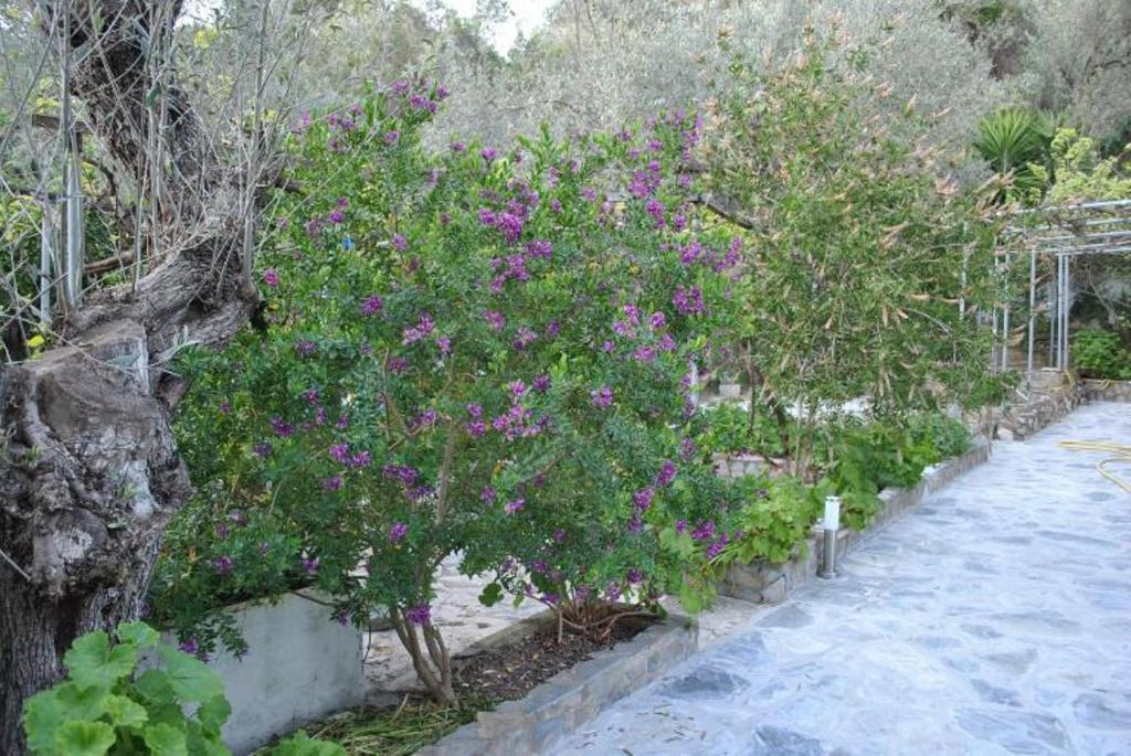 Stelios Studios Megali Ammos  Exterior photo